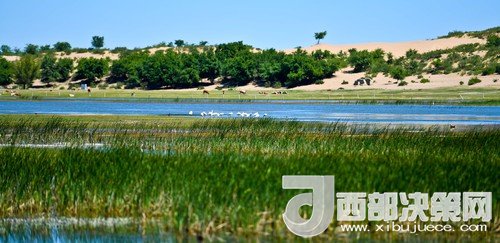 阿魯科爾沁保護區(qū)濕地沙丘。吳勇攝