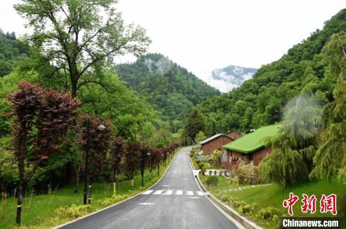 九寨溝熊貓園外景?！【耪瘻峡h委宣傳部提供 攝