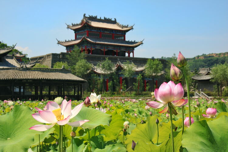 【云游渭南】心中若有桃花源，此處便是水云間！待疫情散盡，一起來渭南桃花源賞美景、觀民俗、享美食_fororder_2